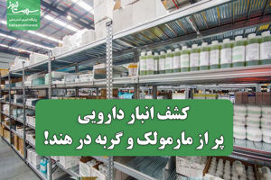 سلامت نیوز