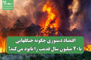 اقتصاد دستوری چگونه جنگلهایی با۴۰ میلیون سال قدمت را  ...