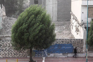 سلامت نیوز