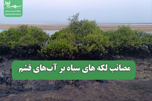 سلامت نیوز