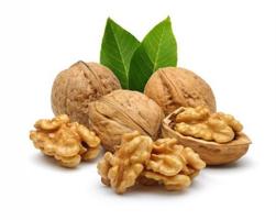 بهداشت نیوز