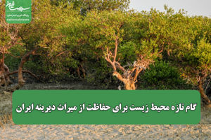 سلامت نیوز