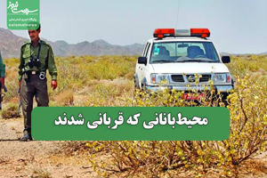 سلامت نیوز