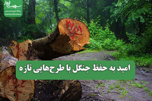 سلامت نیوز