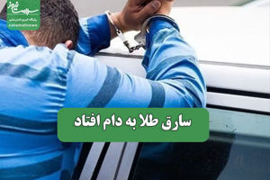 سلامت نیوز