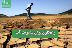 سلامت نیوز
