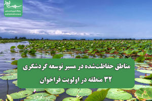 سلامت نیوز