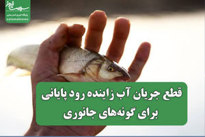 سلامت نیوز