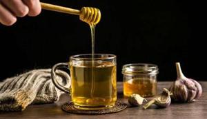 ترکیب سیر و عسل واقعا برای تقویت بدن معجزه می‌کند؟