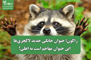 سلامت نیوز