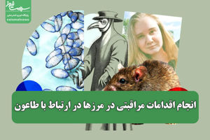 سلامت نیوز