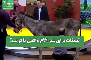 تبلیغات برای شیر الاغ واقعی یا فریب؟