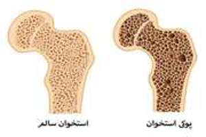 معاونت بهداشت