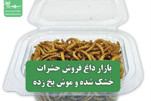 سلامت نیوز