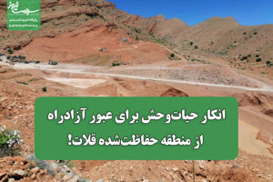 سلامت نیوز