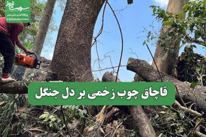 سلامت نیوز