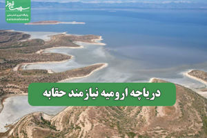 سلامت نیوز