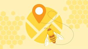 Does Local Honey Help with Allergies?