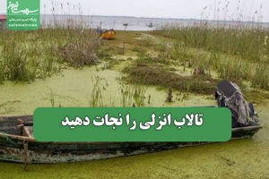 سلامت نیوز