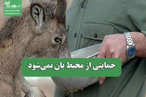 سلامت نیوز