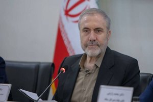 ذوالفقاری: ۹۰ درصد نیاز دارویی با کشت شقایق الیفرا تأمین میشود مهر