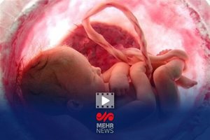 کاهش چشمگیر آمار سقط جنین در کشور با اجرای طرح «نفس» مهر
