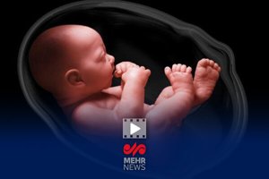 طرح نفس؛ ۱۵هزار جنین که قرار بود نباشند، اکنون در مرحله بارداری هستند مهر